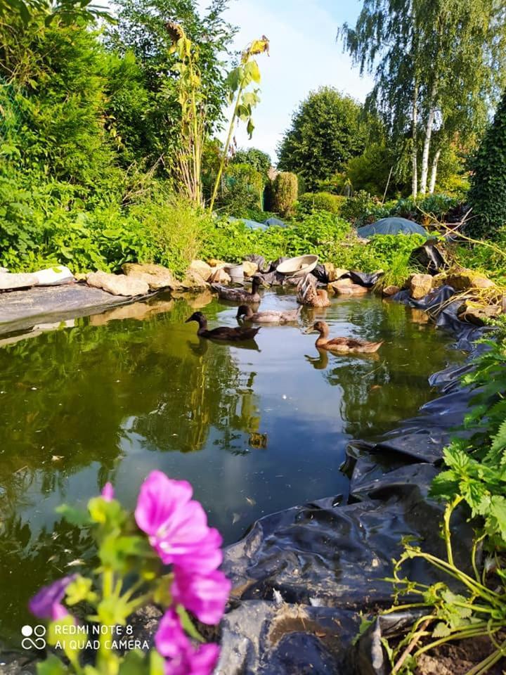 Tente Mongole 4 Saisons Cosy Et Spacieux Conchy-les-Pots Екстер'єр фото